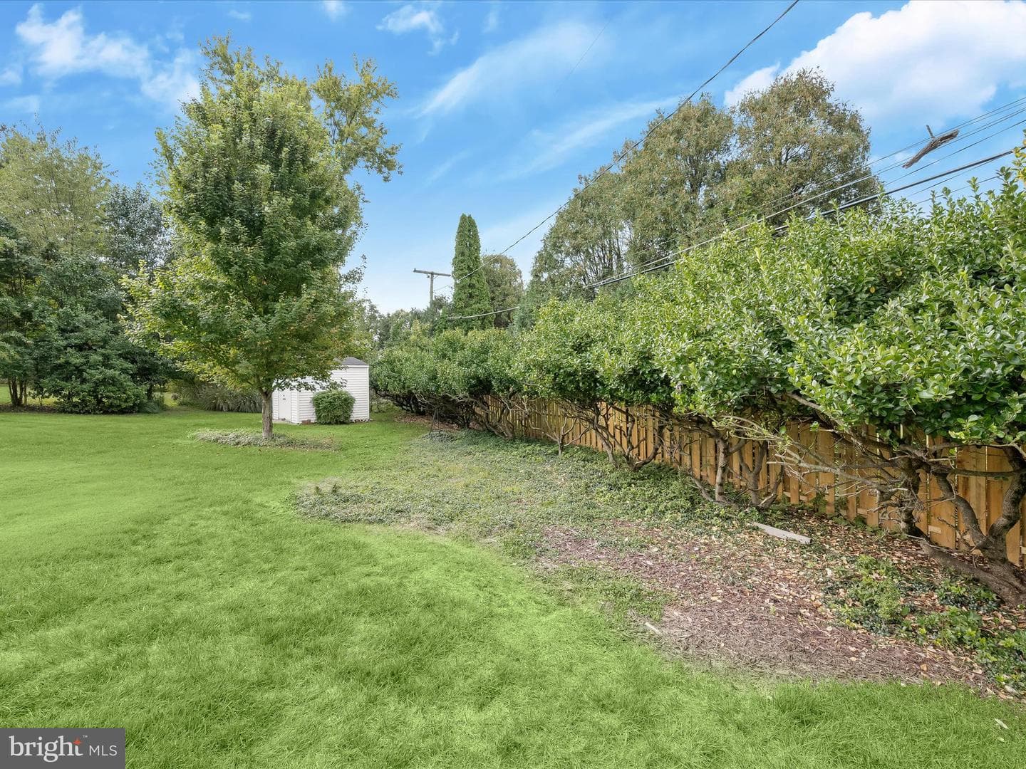 3044 Hickorymede Court photo 60