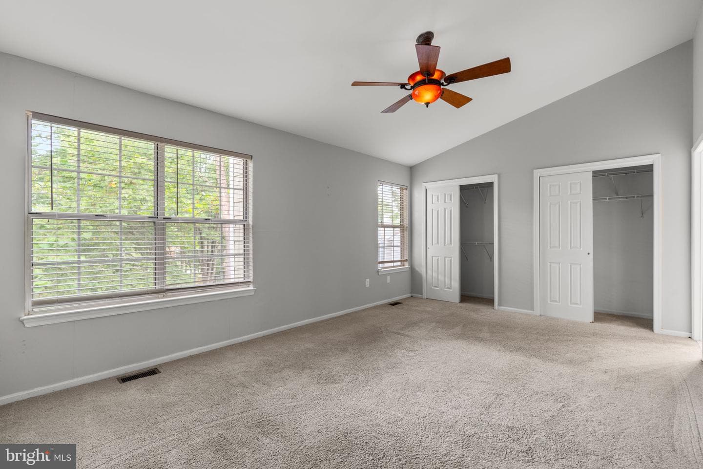 5317 Chase Lions Way photo 19