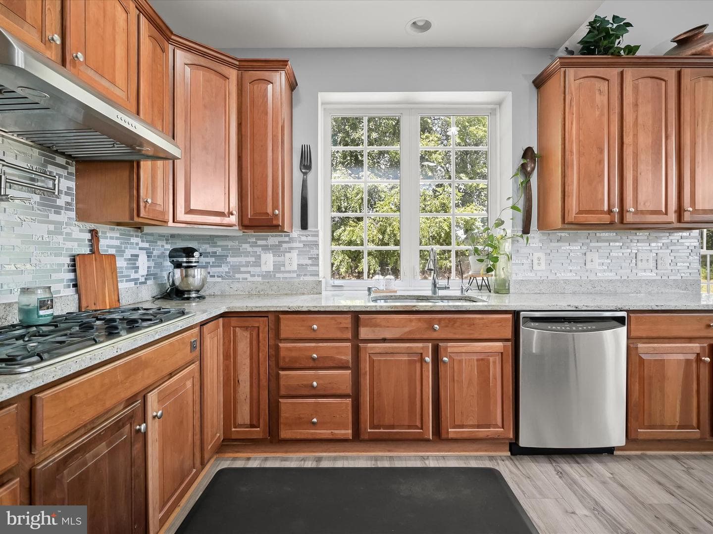 13531 Julia Manor Way photo 16