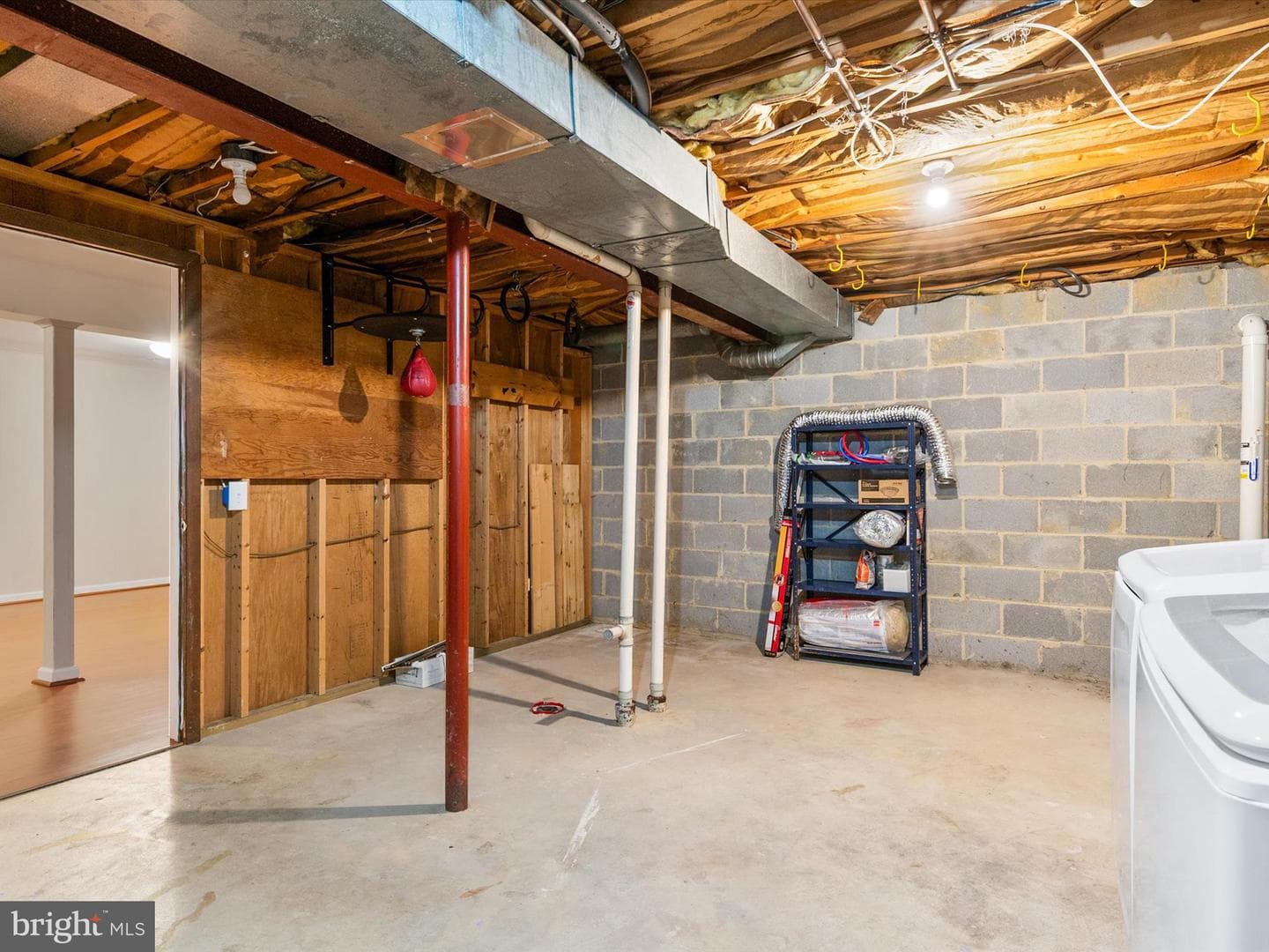 5390 White Mane photo 36