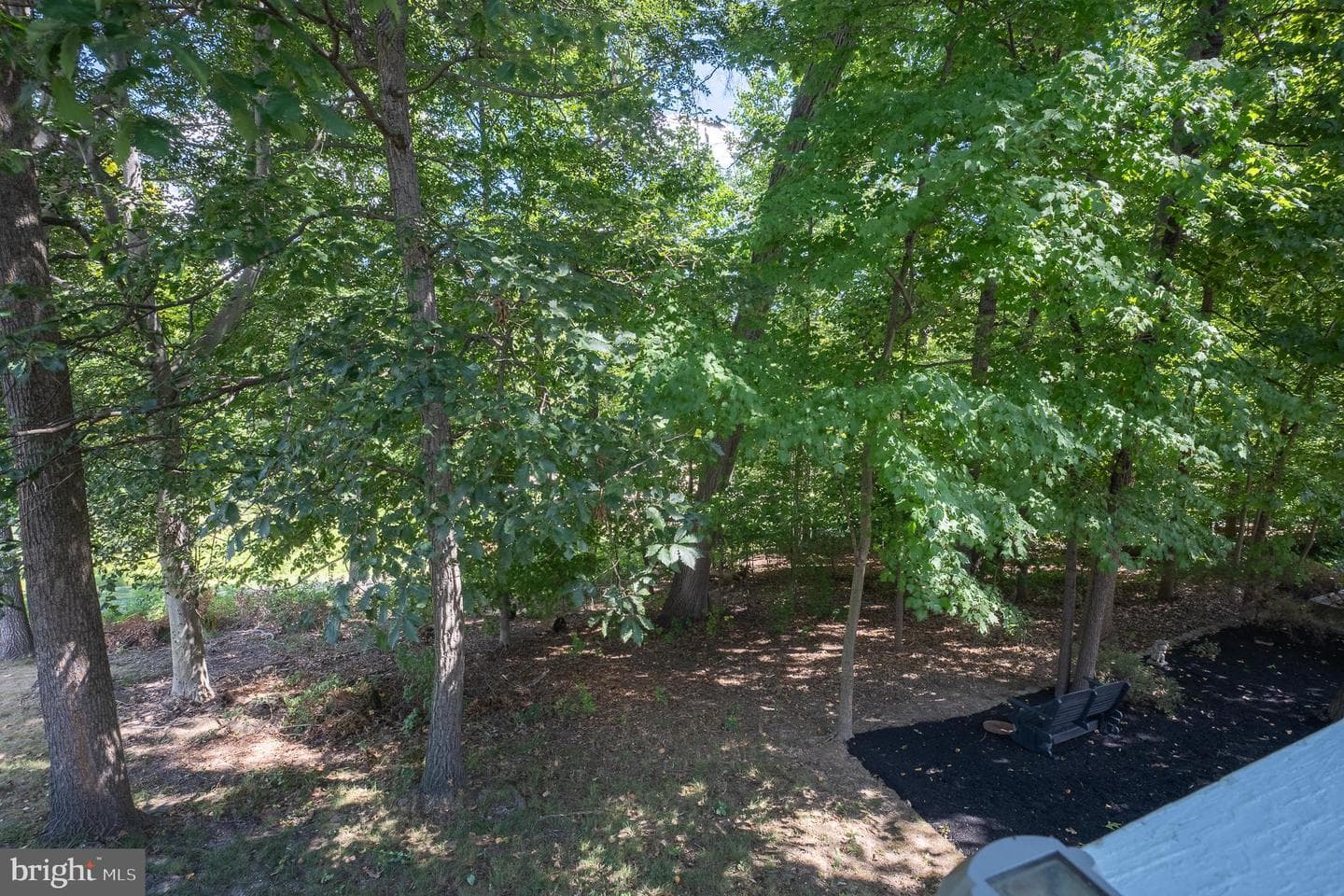 5953 Sandy Ridge photo 81