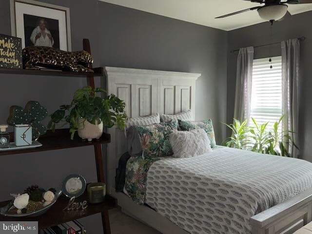 8470 Ice Crystal Drive #c photo 18