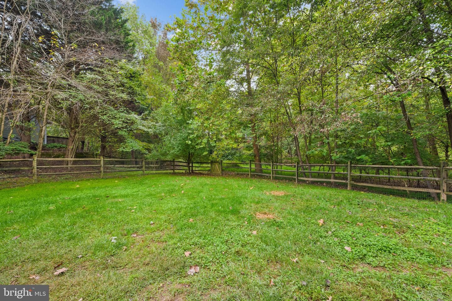 9828 Old Willow Way photo 75