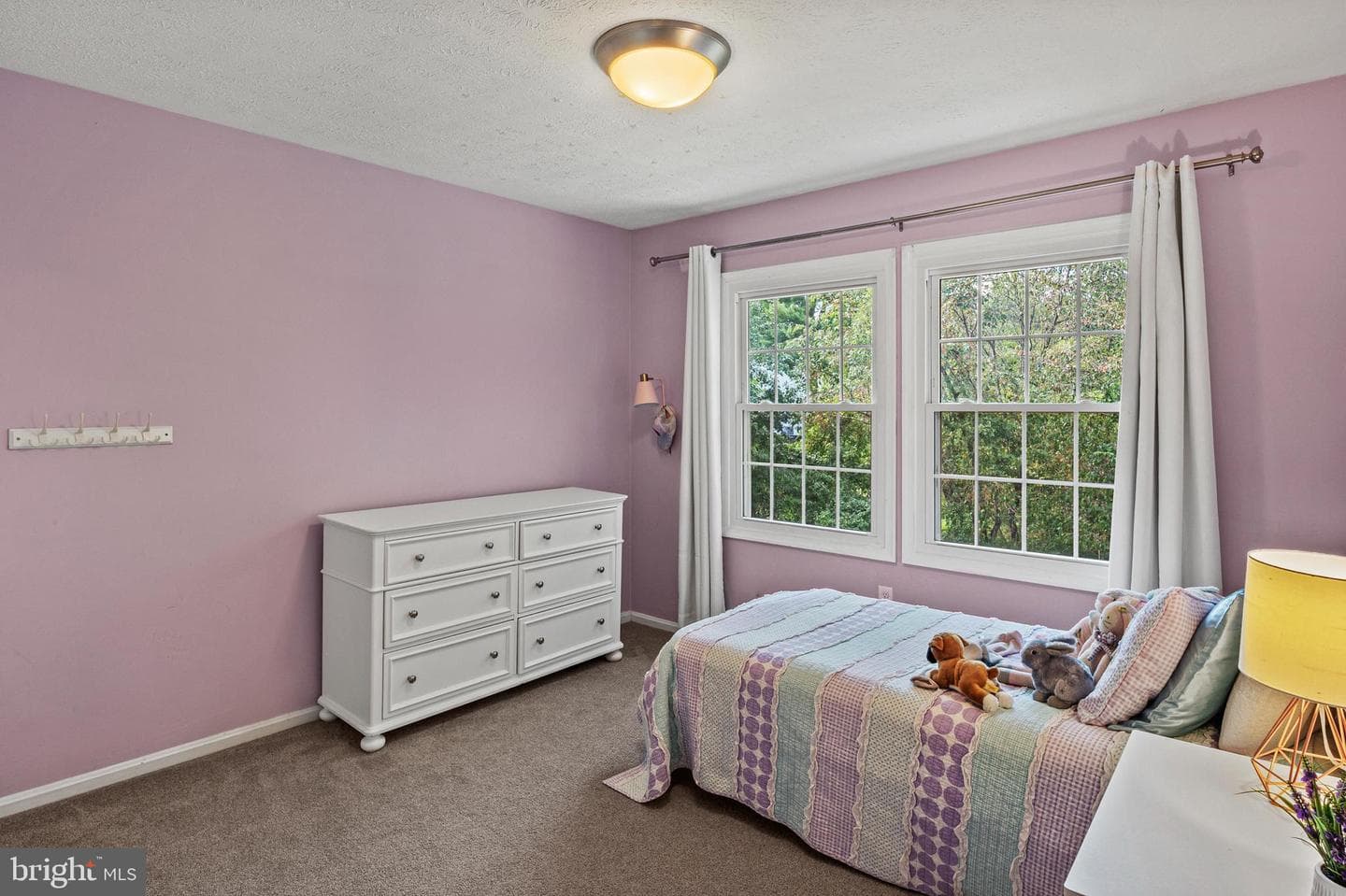10182 Cape Ann Drive photo 29