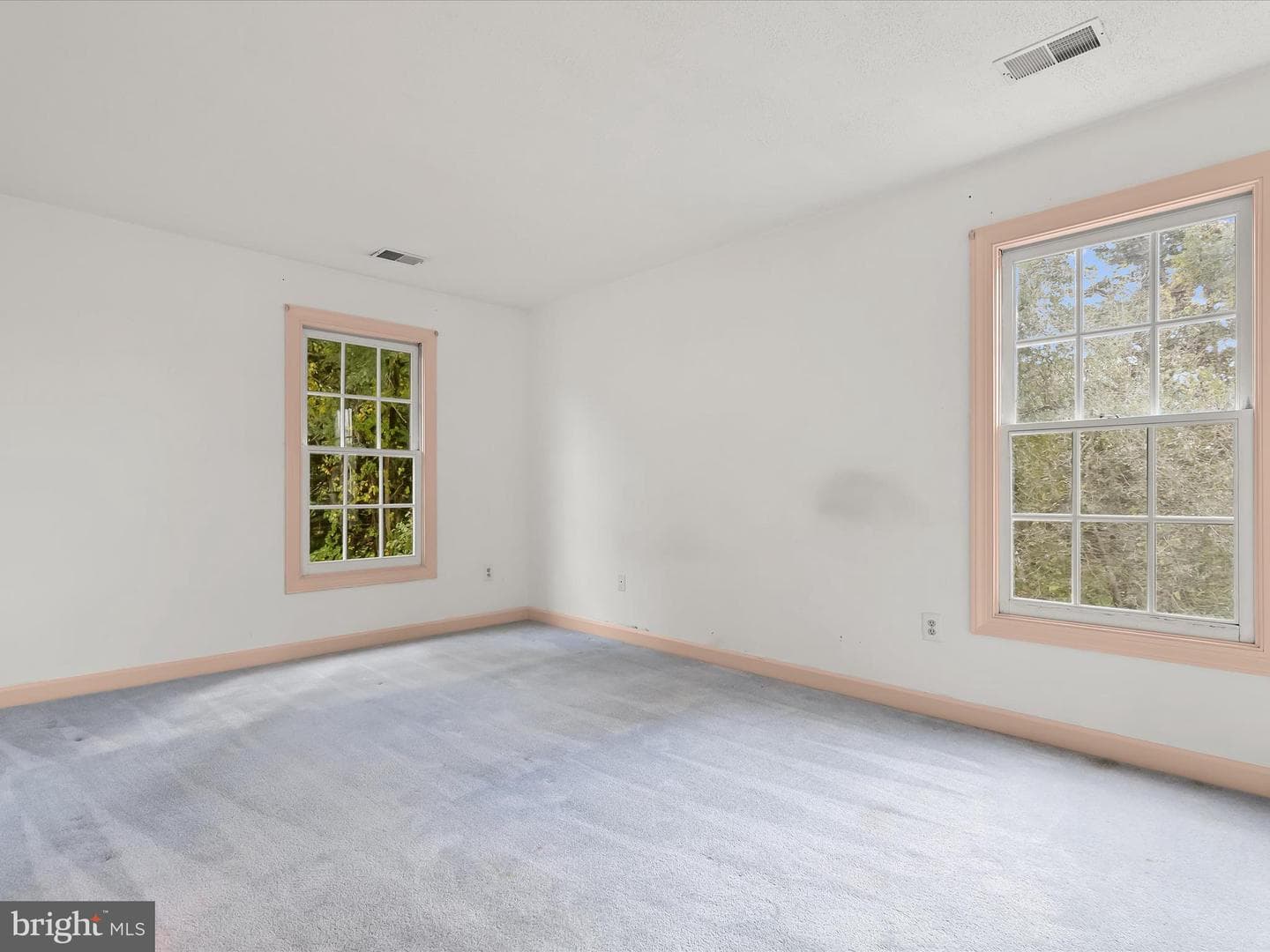 12115 Fulton Estates Court photo 53