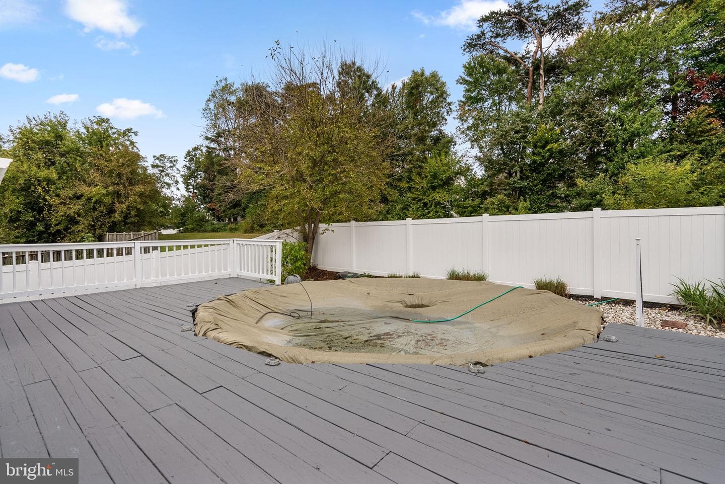 6477 Woodland Forest Drive photo 42