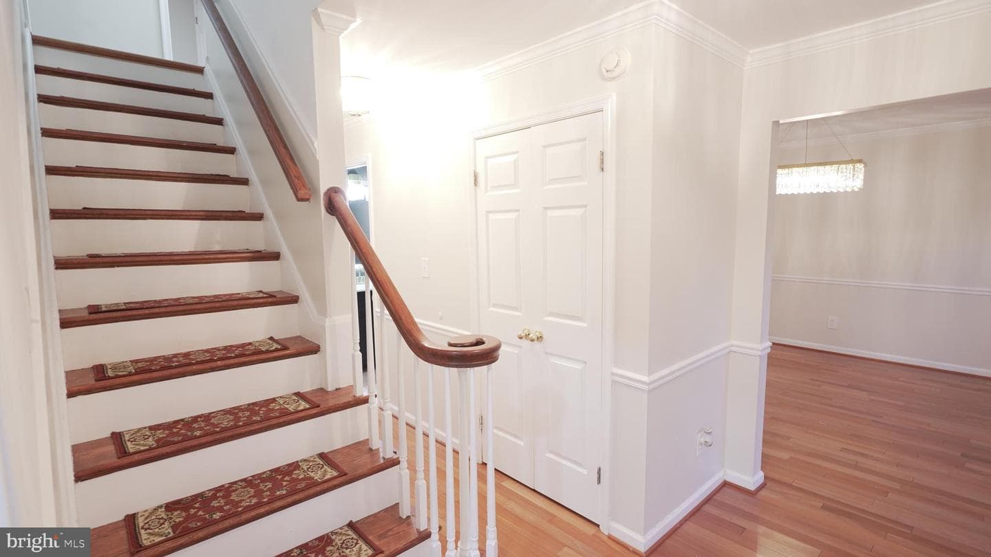 10203 Raleigh Tavern Lane photo 10