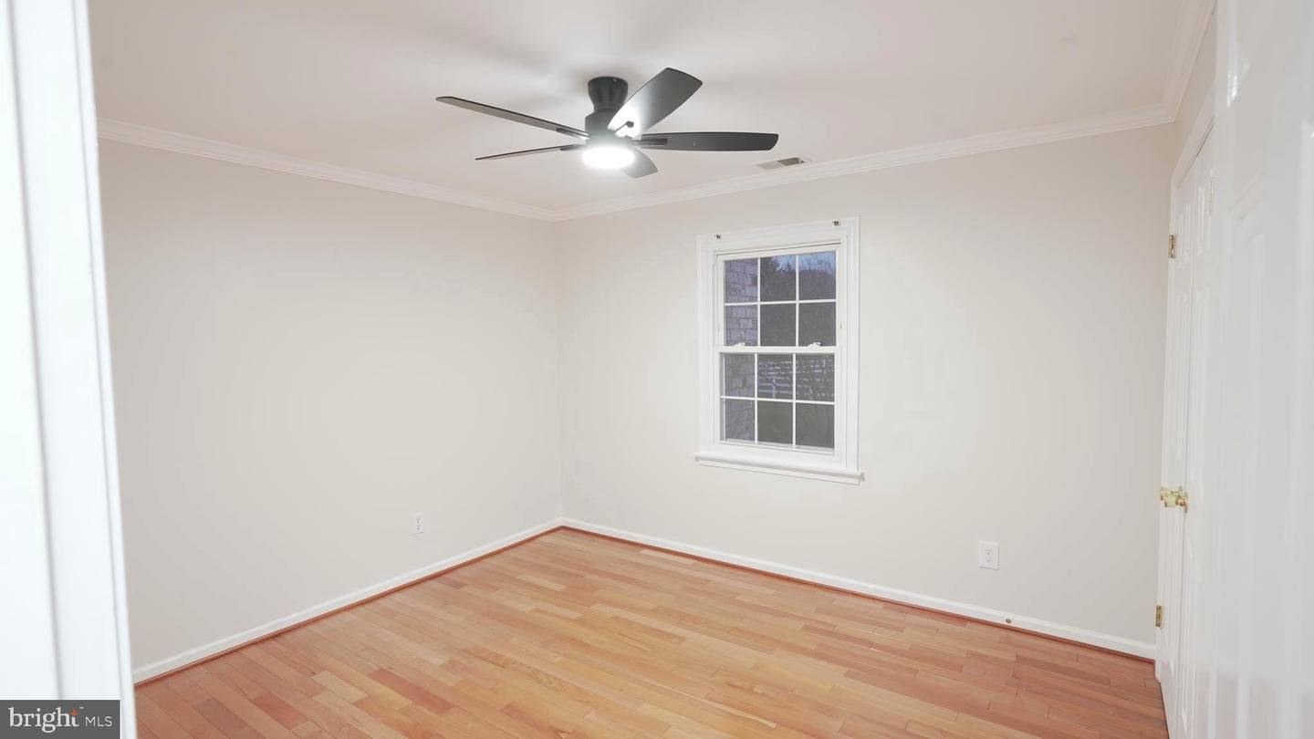 10203 Raleigh Tavern Lane photo 37