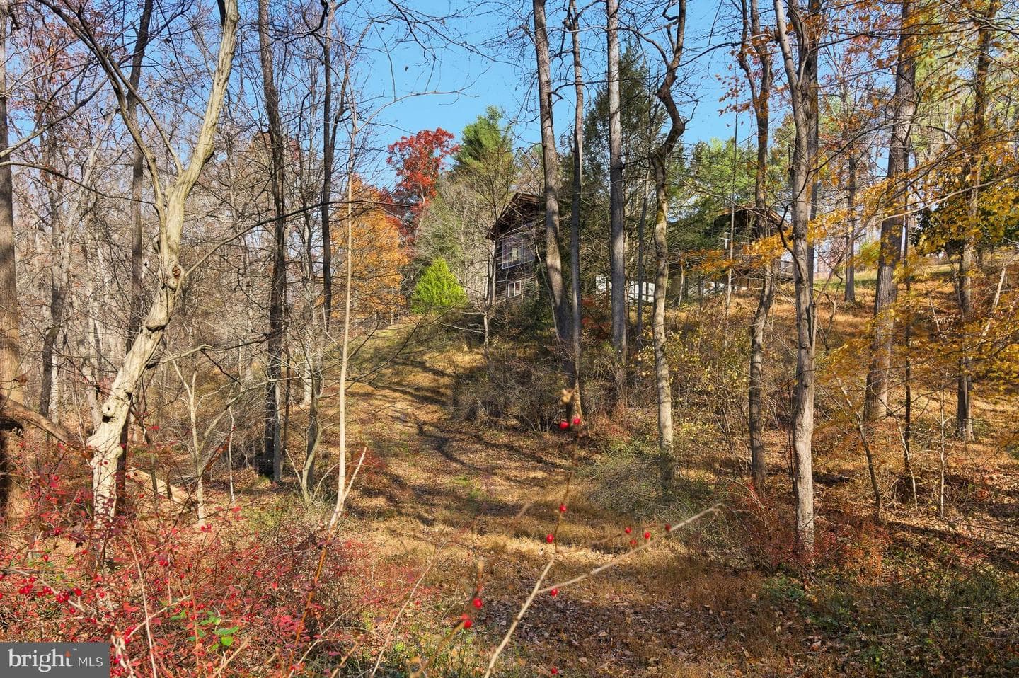 7170 Brooks Road photo 57