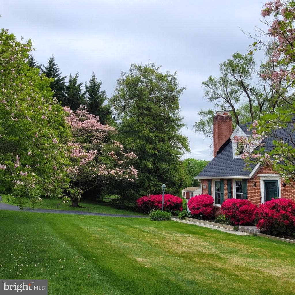 9941 Frederick Road photo 2
