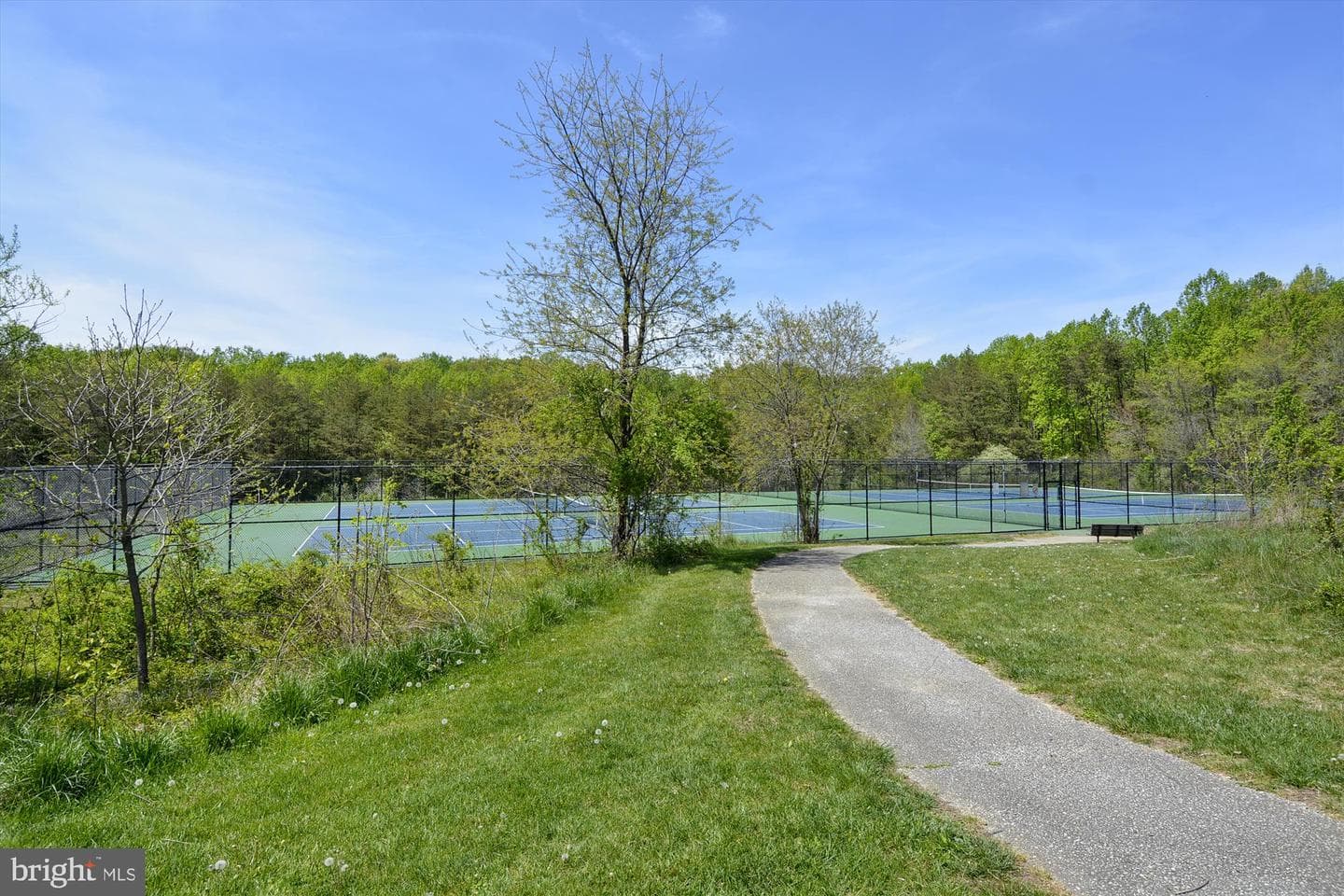 8251 Mary Lee Lane photo 28