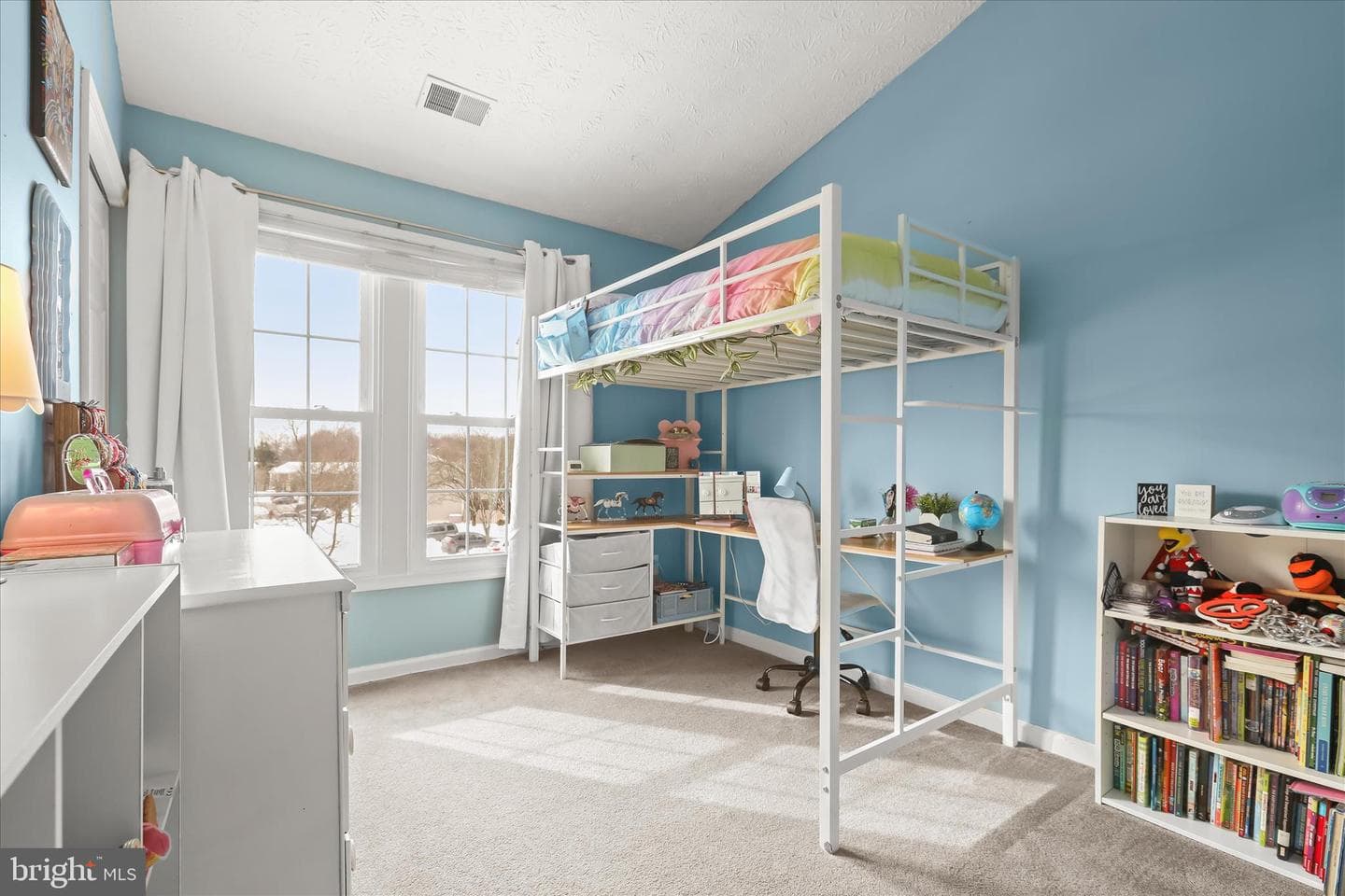 7996 Brightlight Place photo 20
