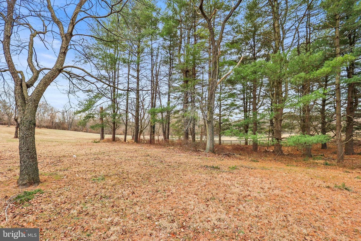 14359 Old Frederick Road photo 50