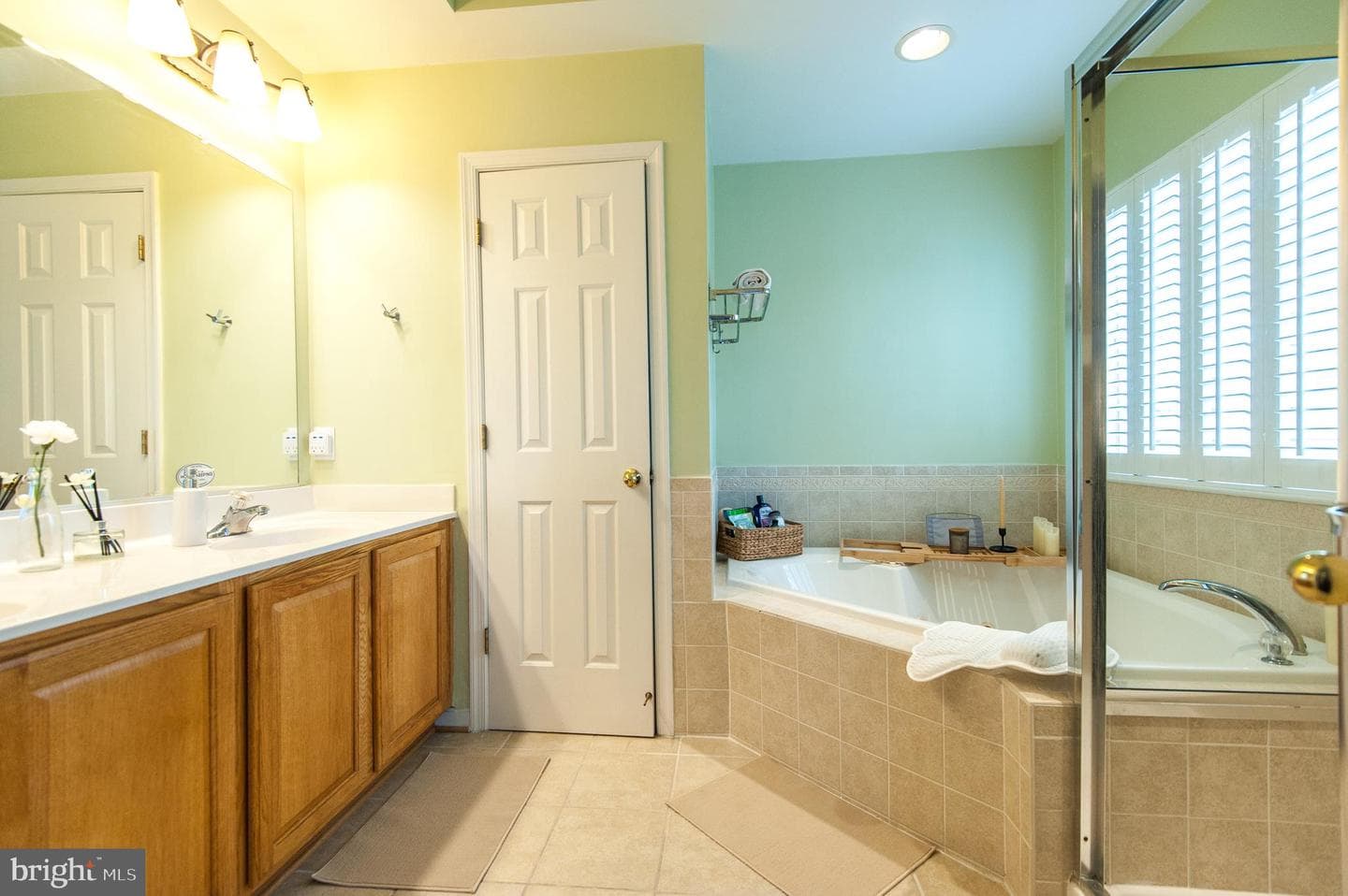 9843 Snow Bird Lane photo 63