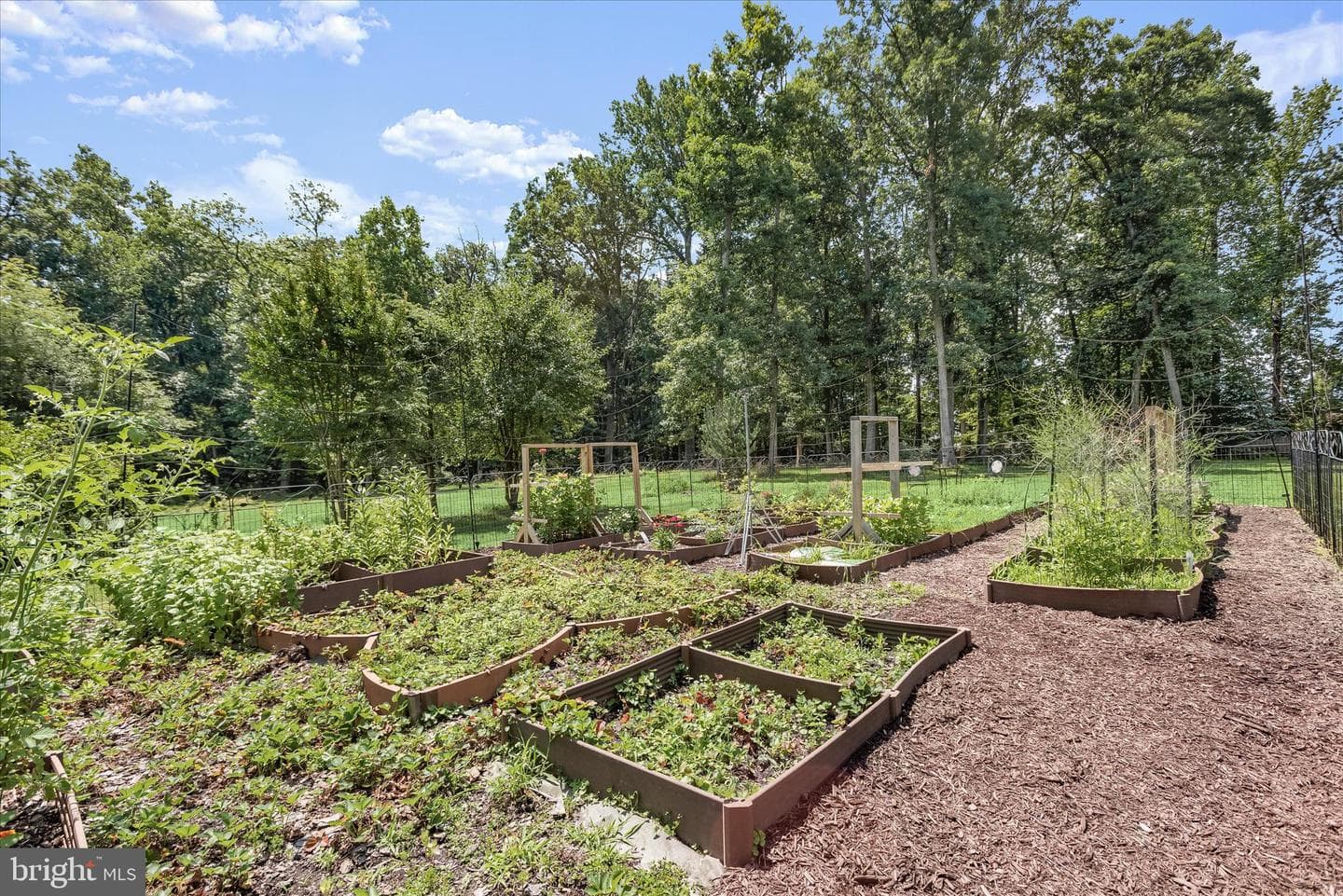 12351 Scaggsville Road photo 34