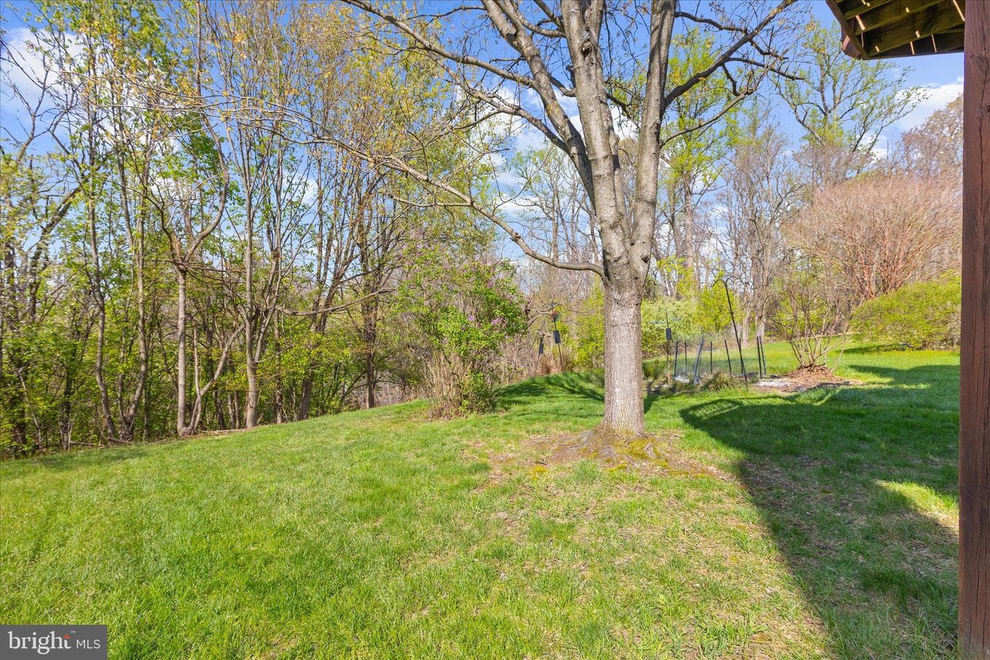 8666 Manahan Drive photo 44