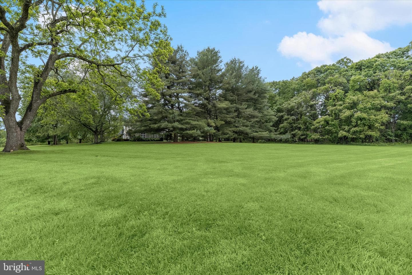 13304 Ridgewood Drive photo 78