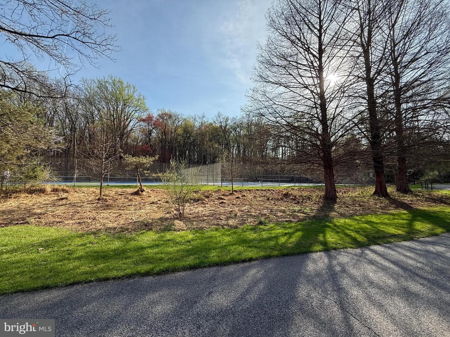 10895 Beech Creek Drive photo 82