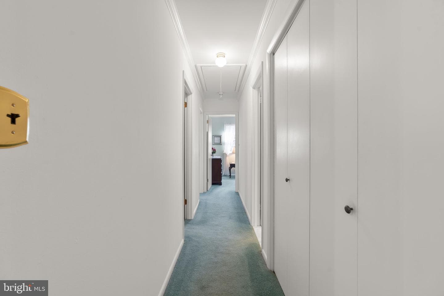 10115 Green Clover Drive photo 27
