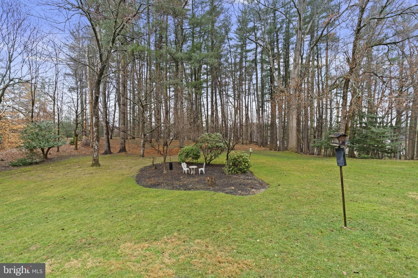 10115 Green Clover Drive photo 51