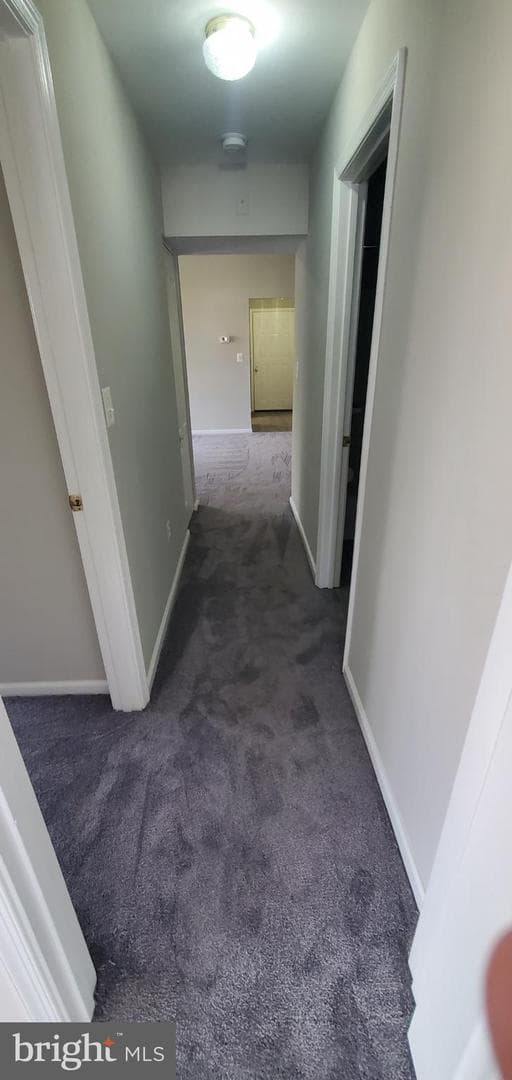 8343 Montgomery Run Road photo 10