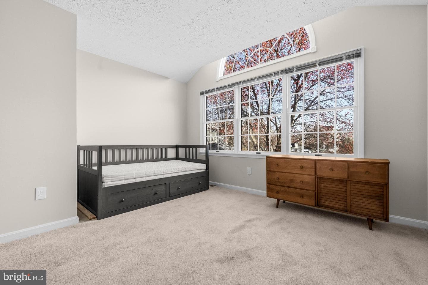 9125 Brunners Run Court photo 22