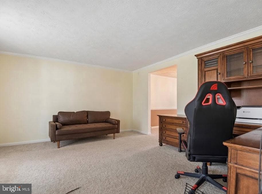 6413 White Peach Place photo 4