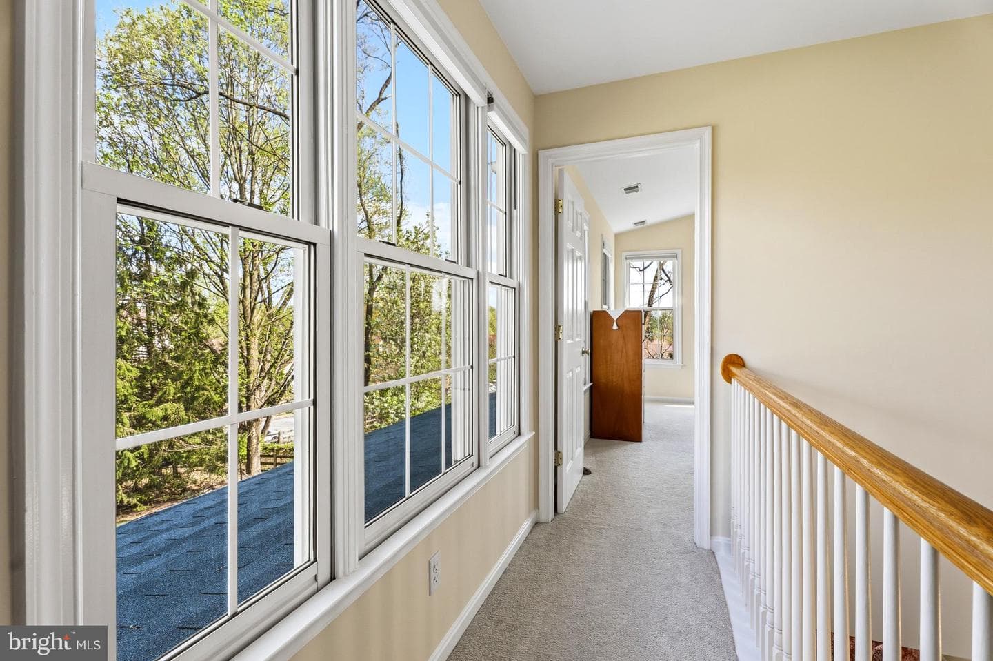 3831 Parrot Drive photo 22