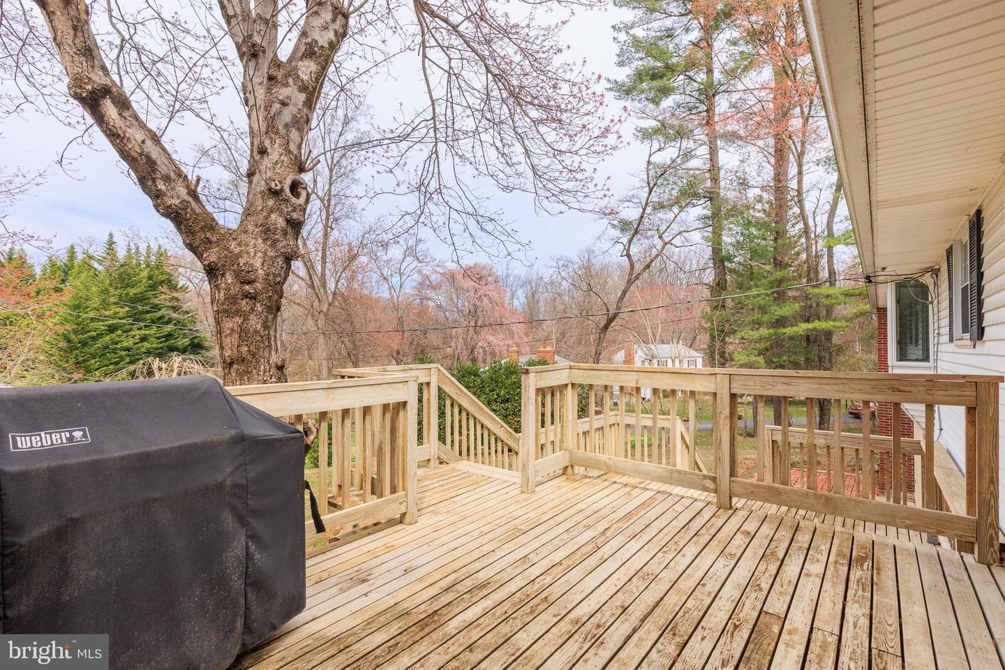 10214 Green Clover Drive photo 51