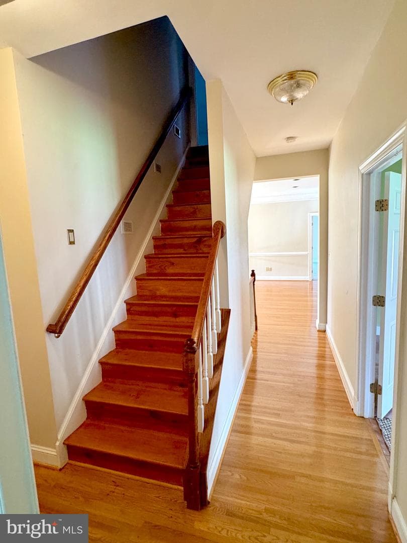 9409 Elizabeth Court photo 53
