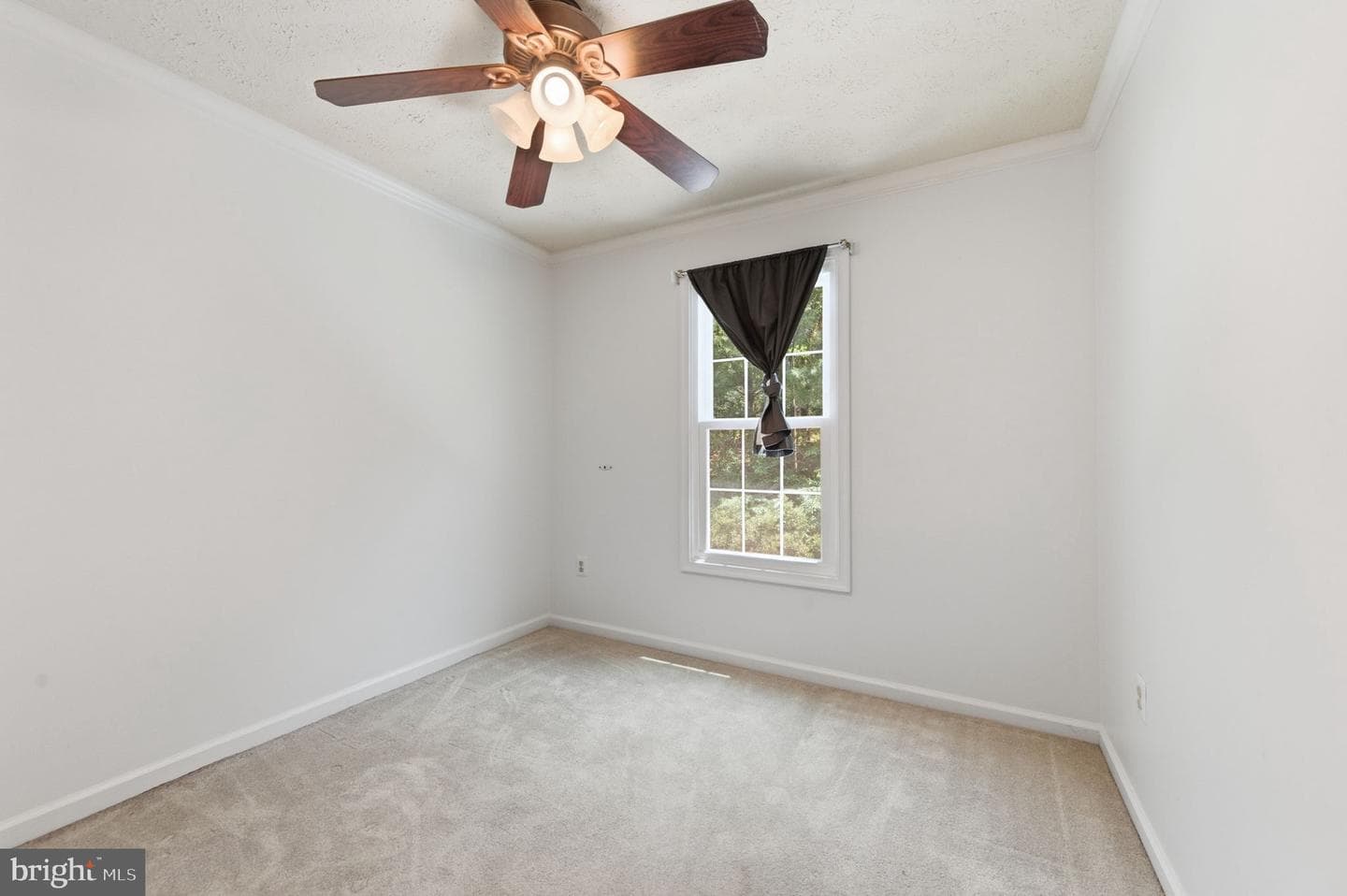 7985 Brightmeadow Court photo 36