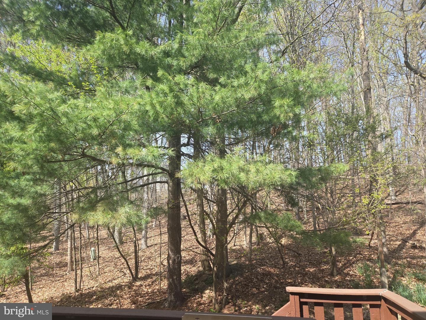 7828 Old Litchfield Lane photo 72