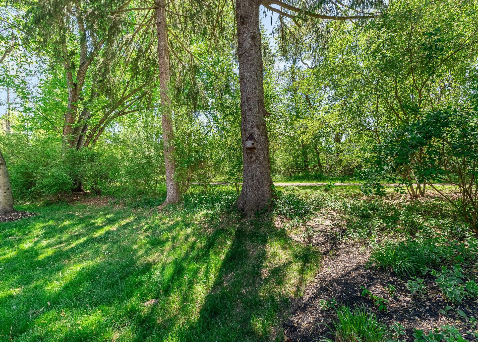 6420 Distant Melody Place photo 36