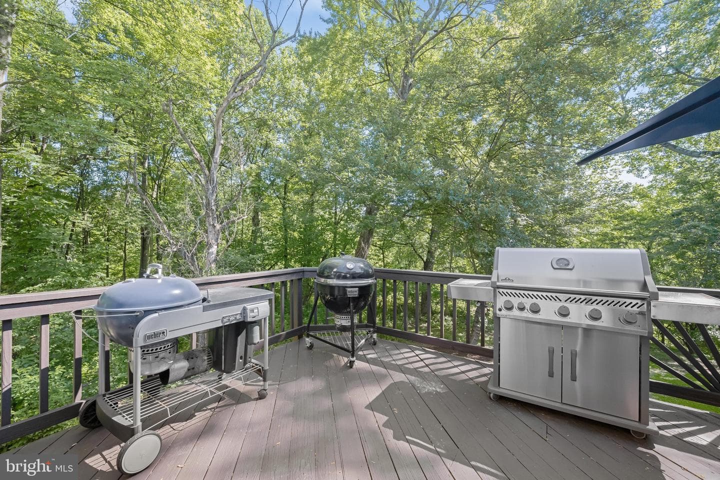 8329 Painted Rock Road photo 51