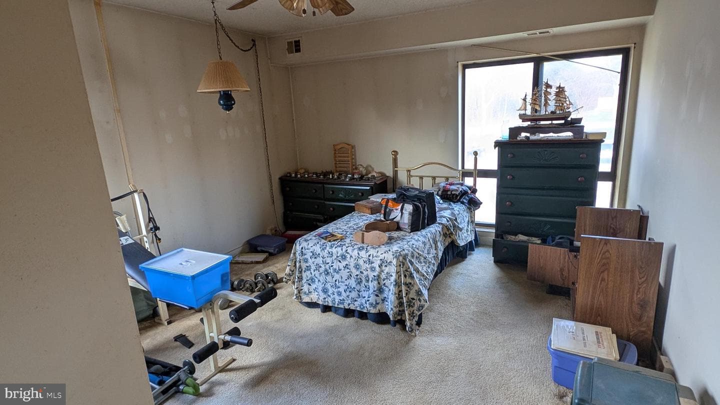5911 Tamar Drive #8 photo 11