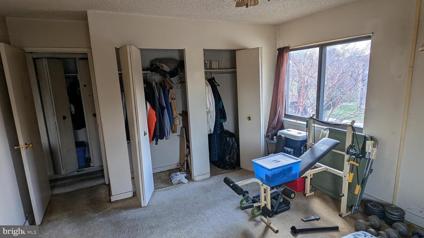 5911 Tamar Drive #8 photo 12