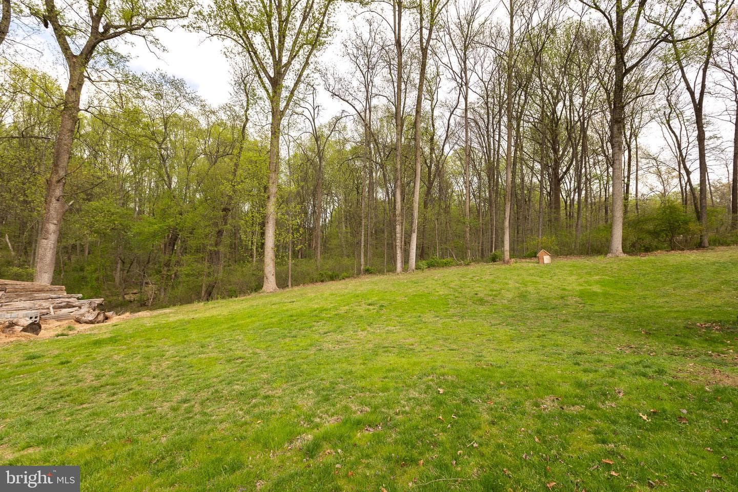 13576 Highland Road photo 12