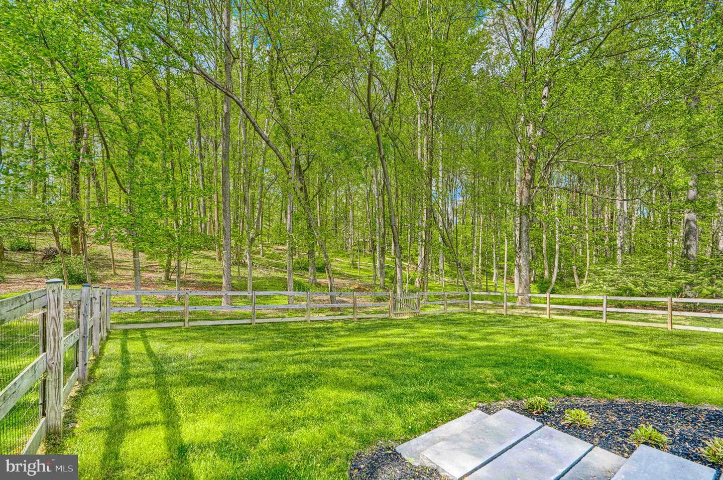 12315 Fawn River Way photo 57