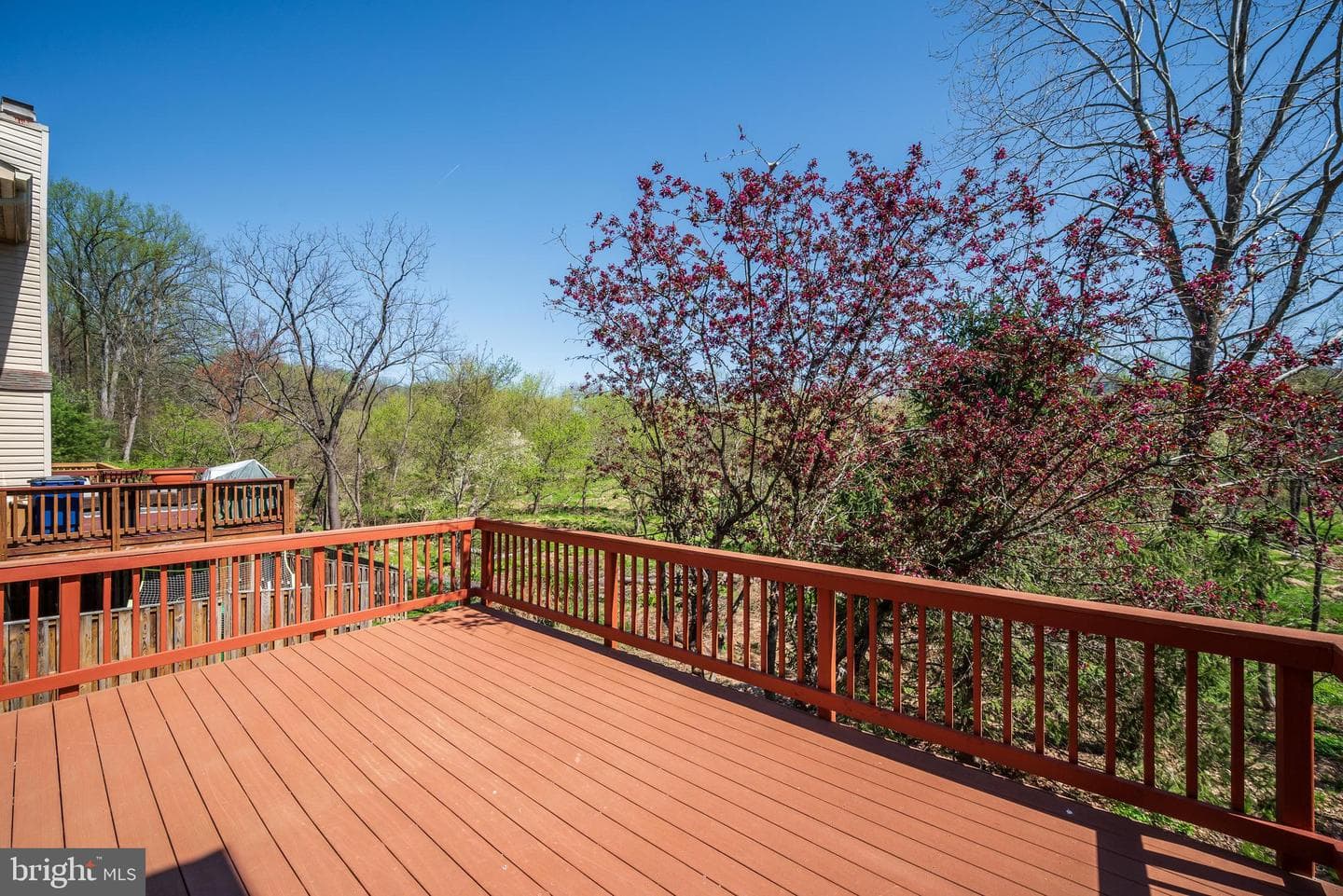 4527 Kingscup Court photo 35