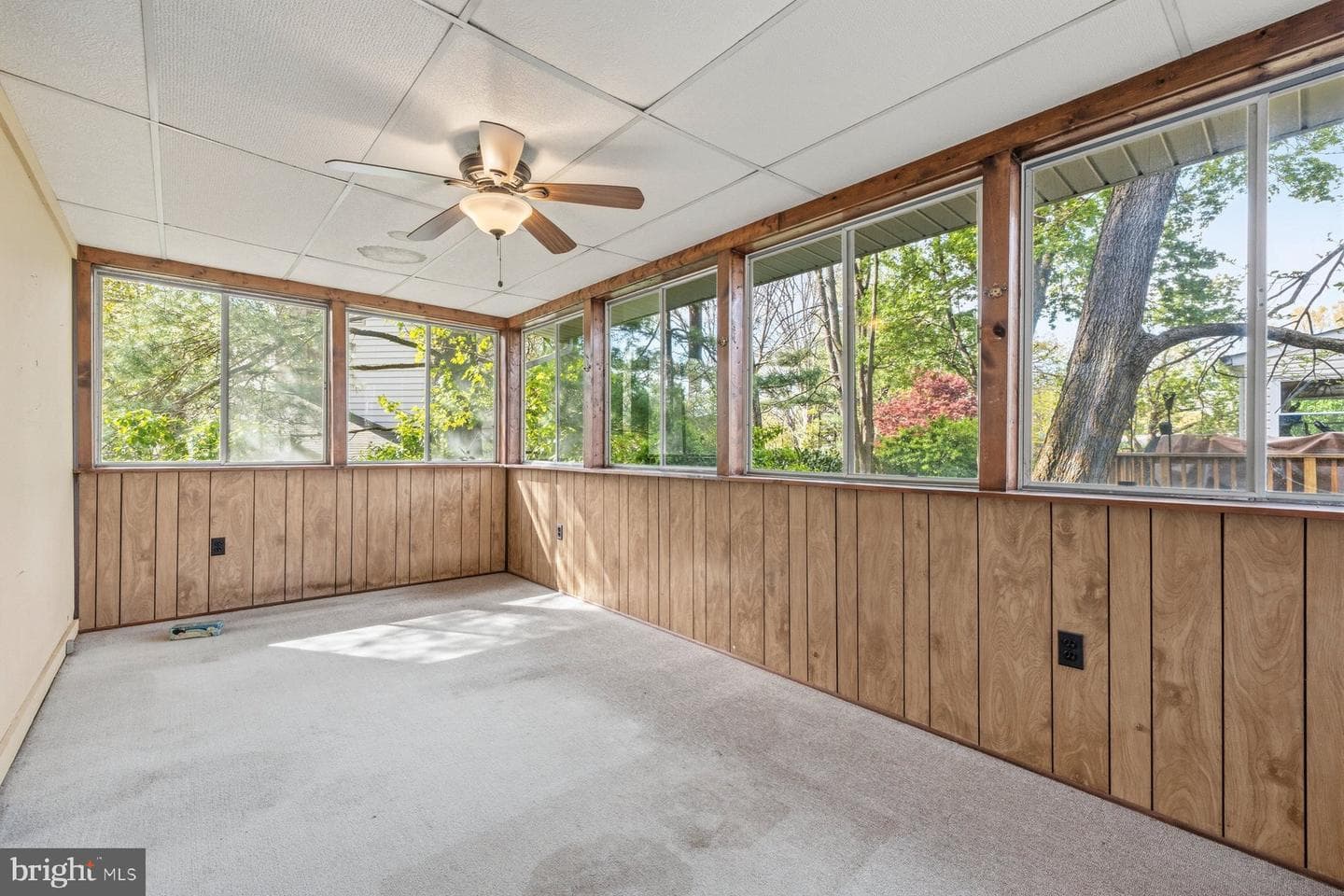 9575 Angelina Circle photo 18
