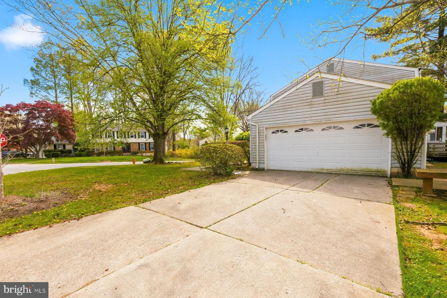 9575 Angelina Circle photo 3