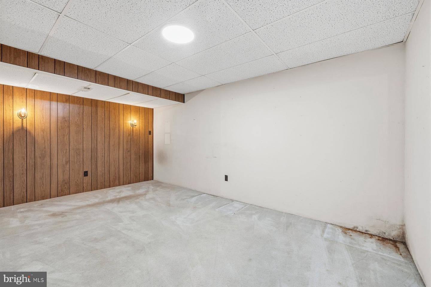 9575 Angelina Circle photo 35