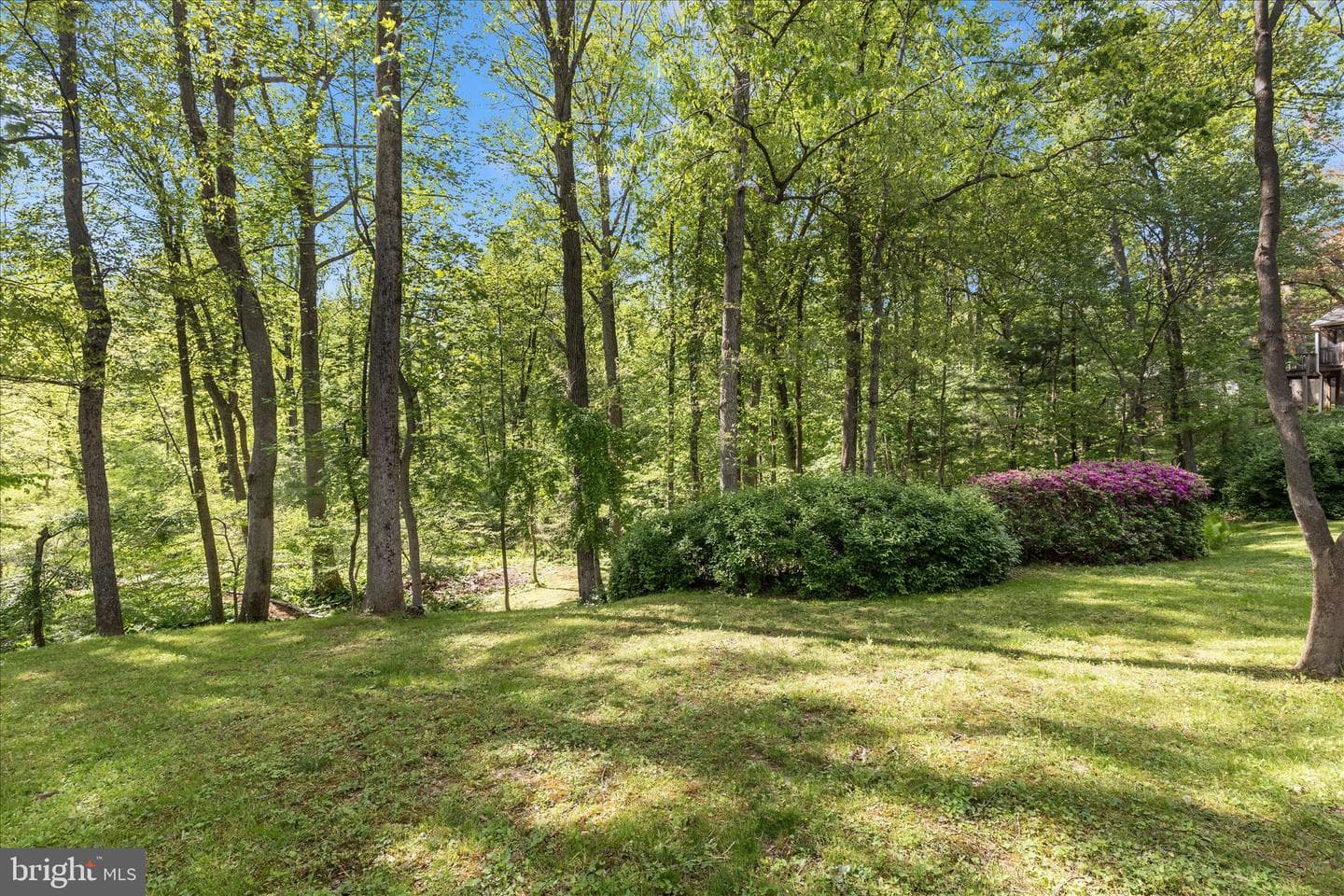 7946 Helmart Drive photo 46