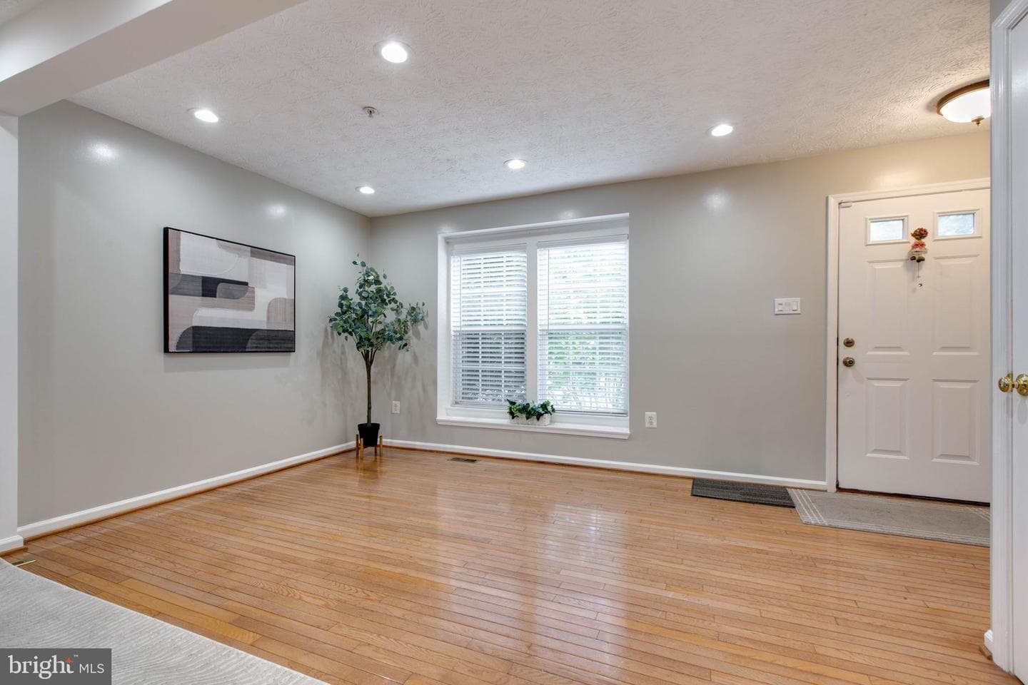 8893 Papillon Drive photo 6