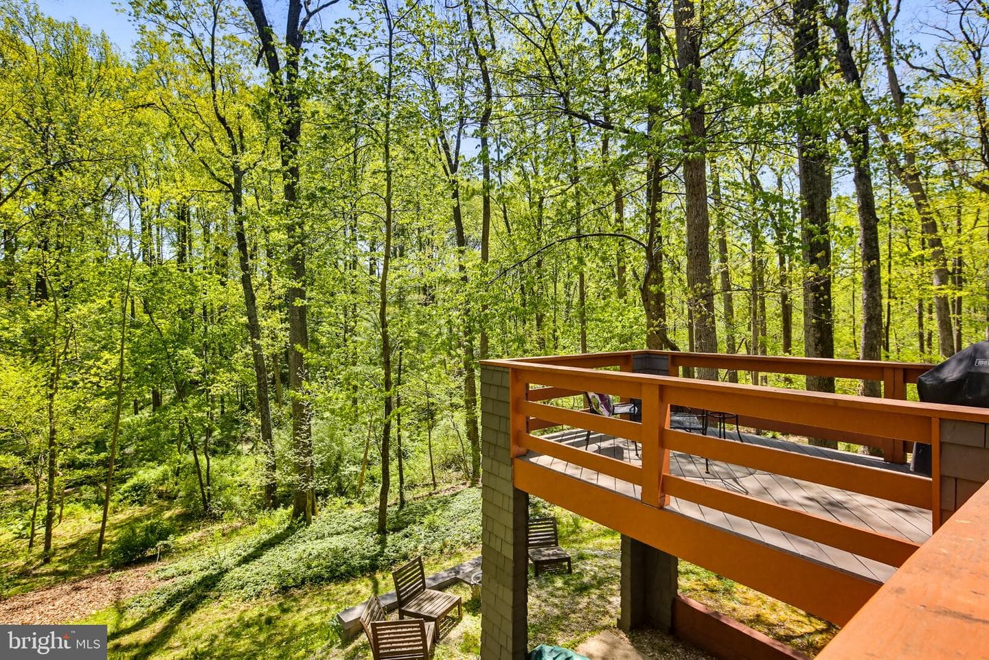 11113 Swansfield Road photo 52