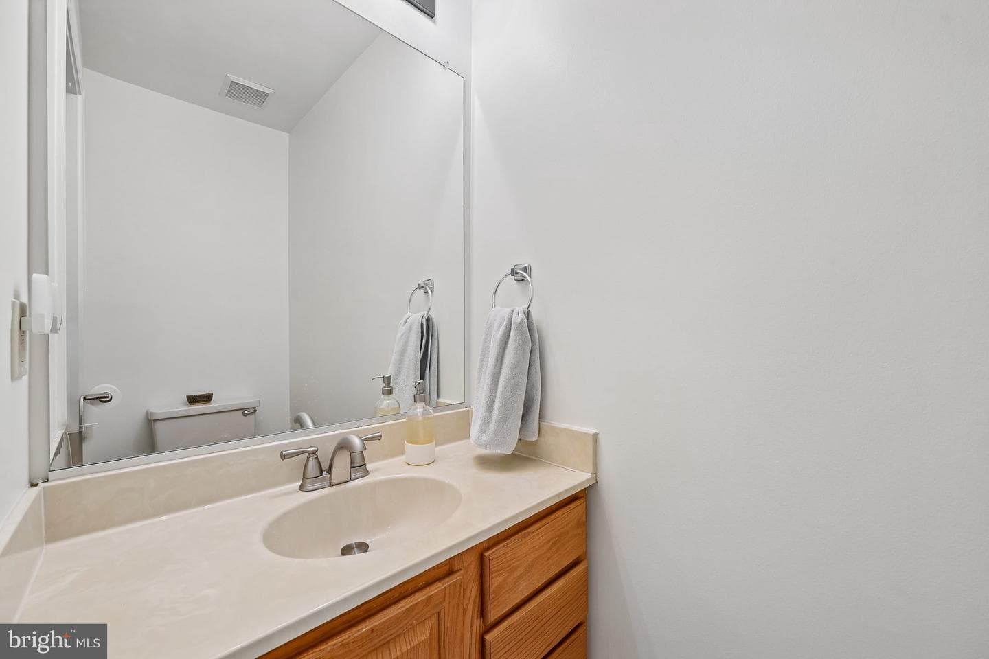 10232 Little Brick House Court photo 27
