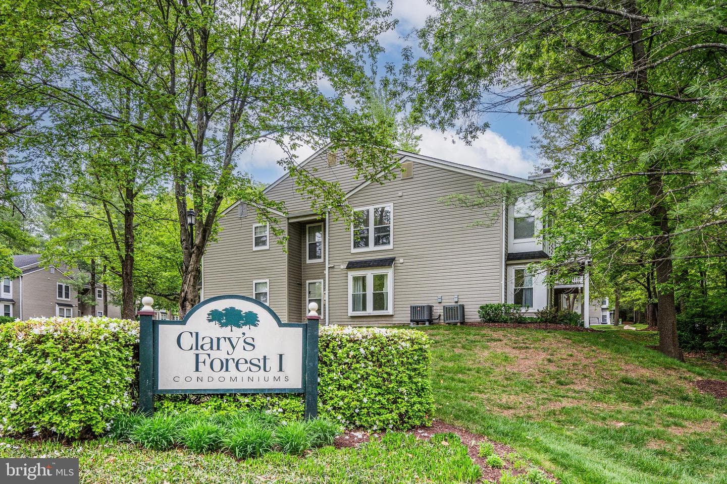 11401 Little Patuxent Parkway #102 photo 2