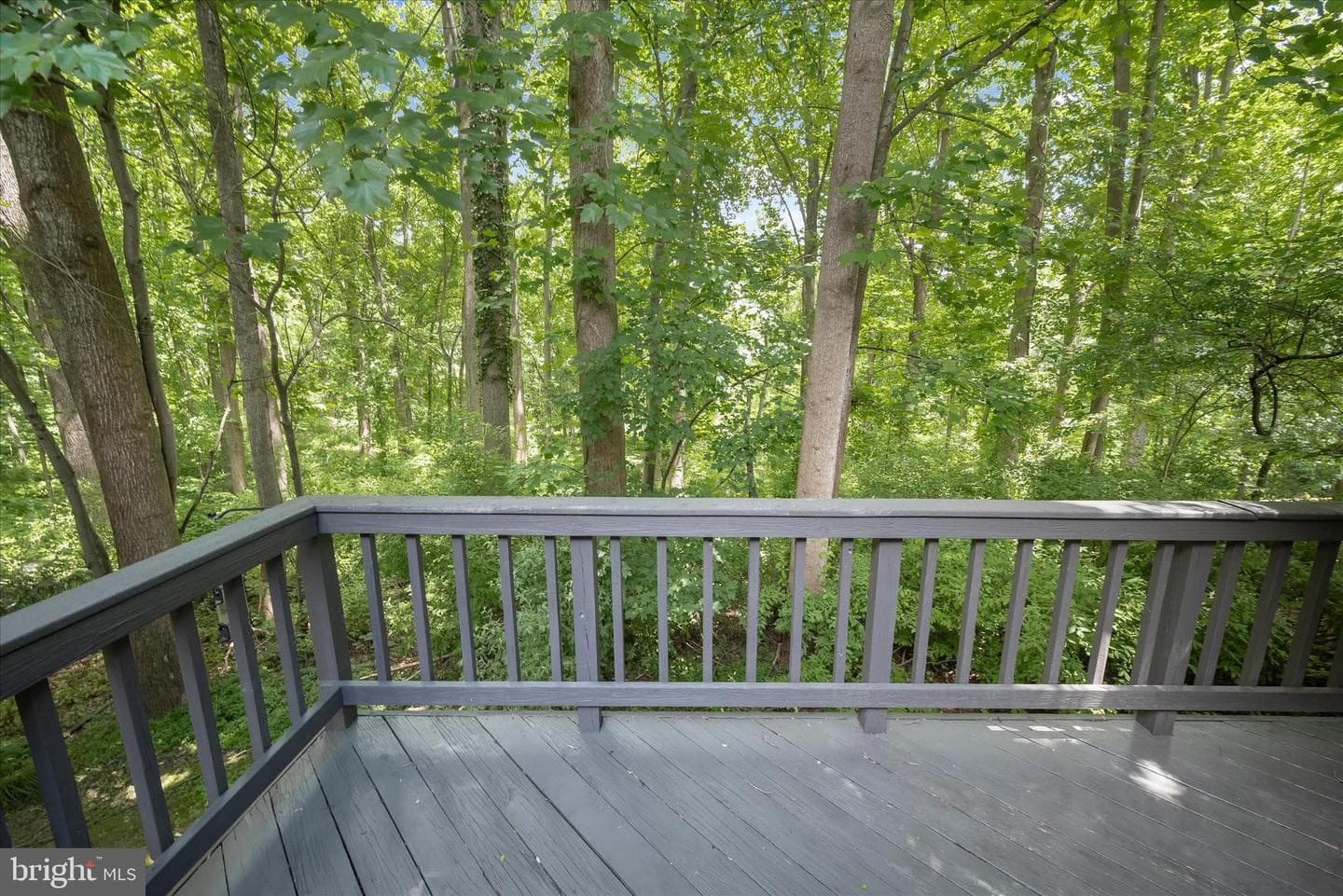 11811 Far Edge Path photo 54