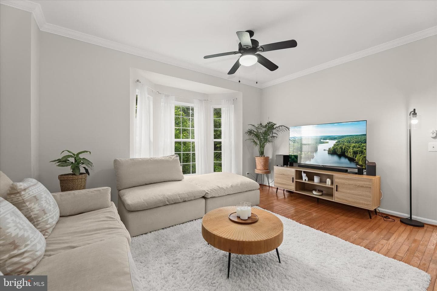 6420 Ivy Terrace photo 9