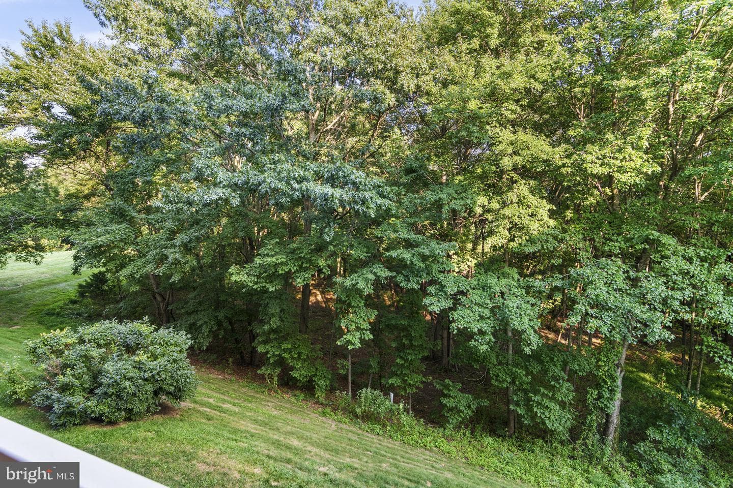 5925 Abrianna Way #c photo 13